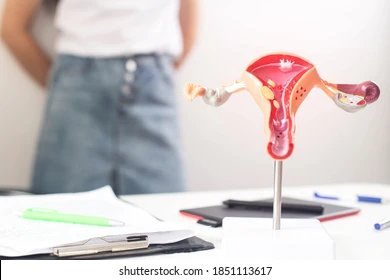 model-female-reproductive-system-background-260nw-1851113617